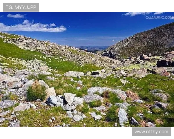 鍒囧皵瑗挎柊鎻村焹鑻忔垐涓栦勘鏉绉€鏇胯ˉ鐧诲満 鏆村姏鎷兼姠灞曠幇娼滃姏